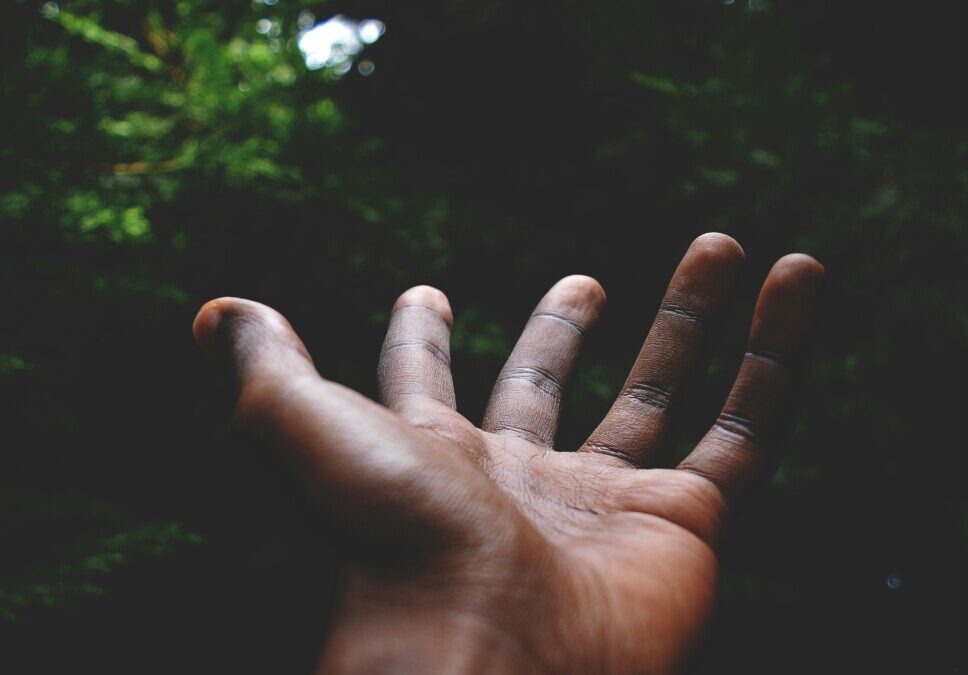 Cultivating Daily Prayer: Morning and Evening Prayers shared by Fr Denis Collin