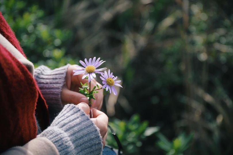 A Prayer For The Terminally Ill by Fr Jonathan Stewart